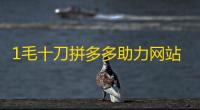 1毛十刀拼多多助力网站,刷快手 - 自动下单软件 - 快手24小时选购平台